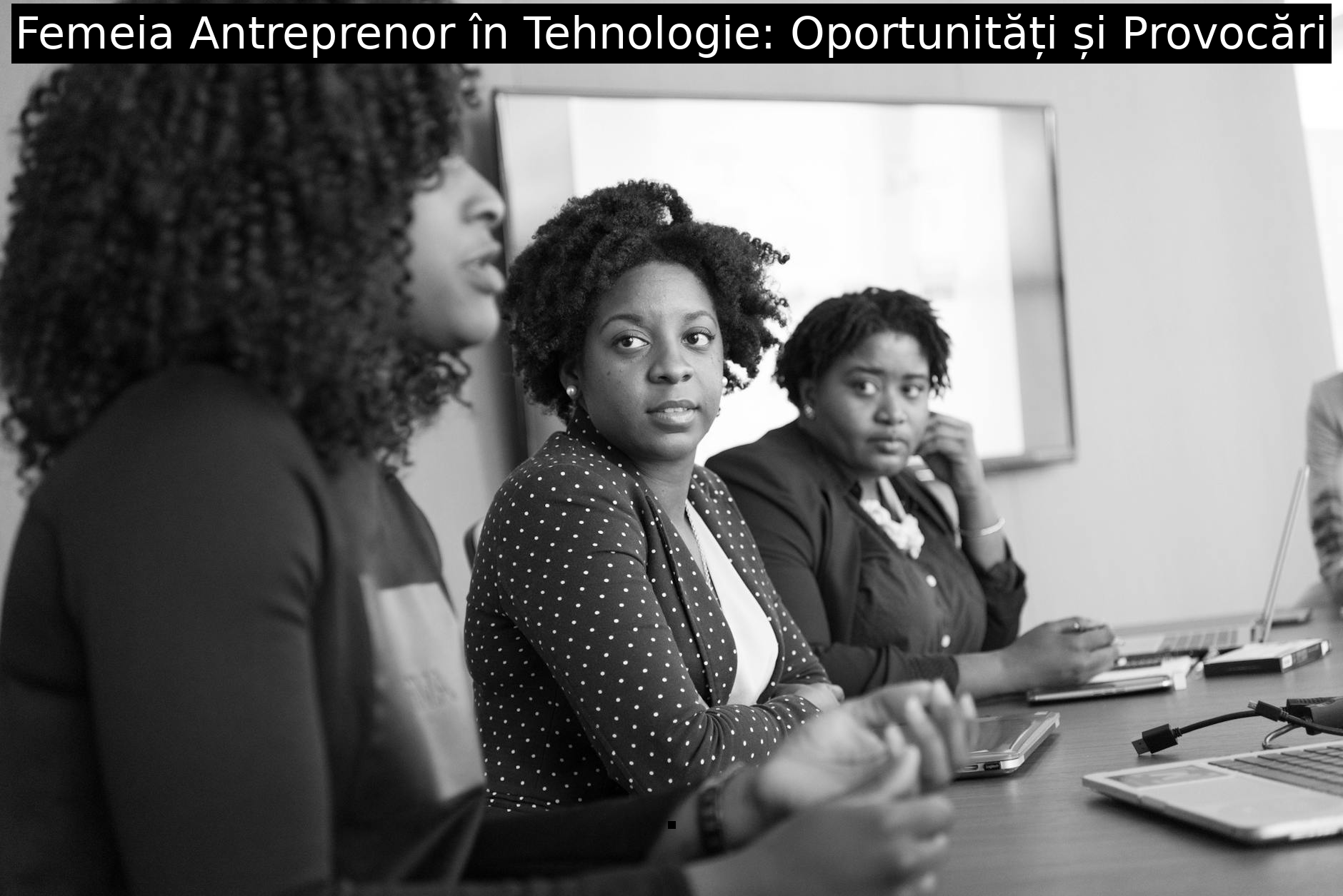 Femeia Antreprenor în Tehnologie: Oportunități și Provocări